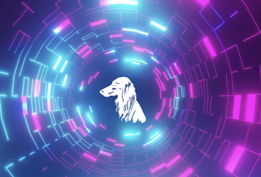 UnderDawg Bites: A Quick Recap of Recent Content
