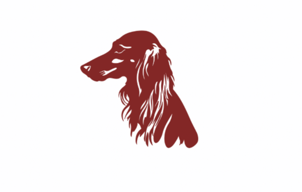 Southern Illinois Picked Seventh in MVC Preseason Media Poll