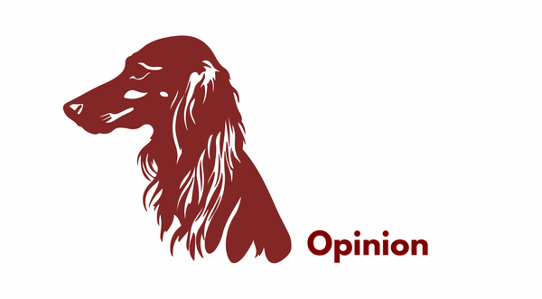 Built, Then Bought: How the Transfer Portal Is Draining Mid-Major Basketball (and two ideas on how to fix it)